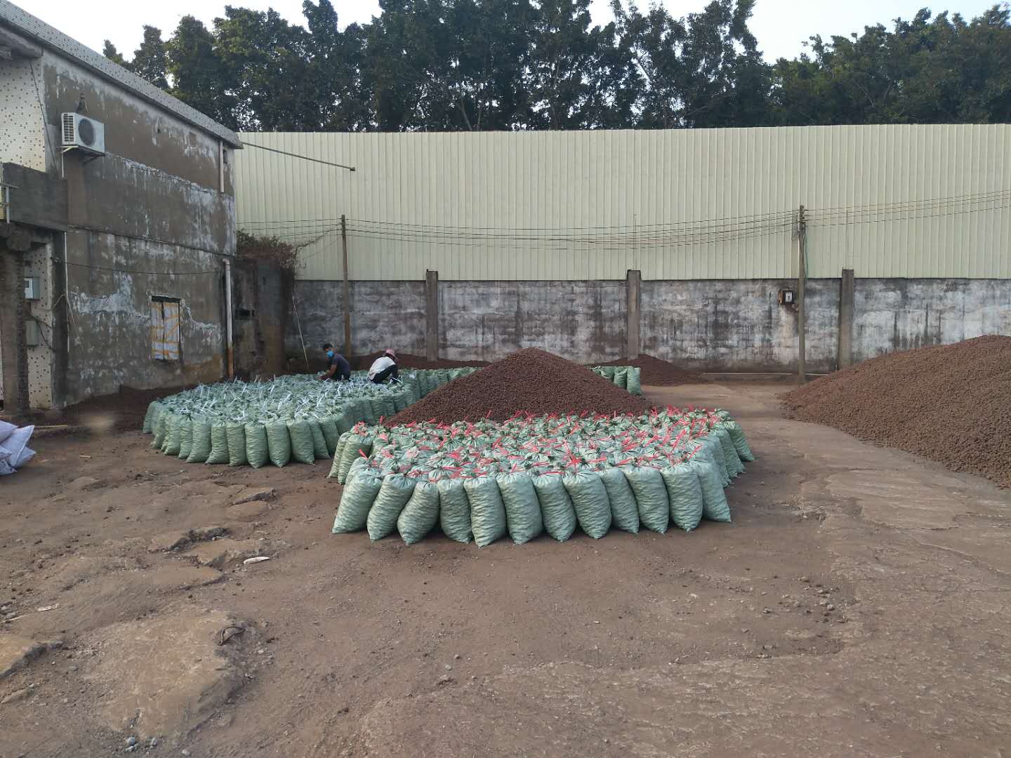 星空官方网页版入口推荐