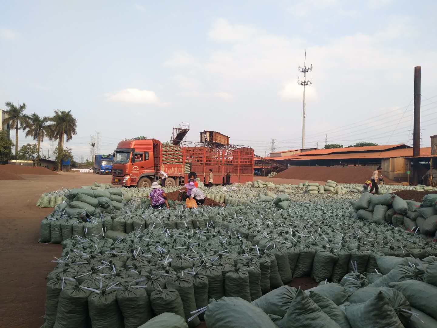 星空官方网页版入口商家